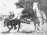 [Roy Ross Trying to Bring Down a Steer in Canadian, TX, 1943]