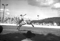 [Unidentified saddle bronc rider]