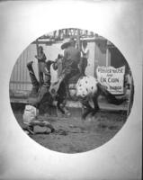 Headstand catch - Col. Jim Eskew riding appaloosa by Junior