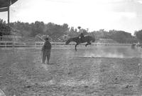 [Unidentified bareback rider as possibly Jasbo Fulkerson looks on]