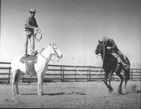 [Jack Webb standing on horse roping a passing horse & rider]