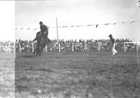 [F. E. Boston riding saddle  bronc as clown looks on]