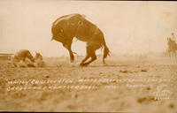 "Whitey" Christensen Makes Perfect 3 Point Landing, Cheyenne Frontier Days, 1936