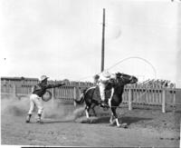 Johnnie  Rufus trick roping Lancaster, Wisc.
