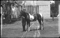 [Single portrait of a person with a horse]