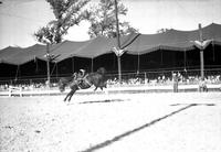 [Unidentified cowboy off saddle bronc]