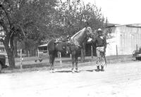 [Unidentified cowboy posed by saddled horse in dirt road by automobile]