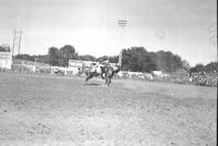 [Unidentified cowboy off saddle bronc]