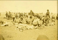 [Indian men preparing meat for transportation on wagons]