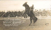 Fannie Sperry-Steele, Champion Lady Bucking Horse Rider, Winnipeg Stampede, 1913