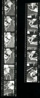 Contact sheets for negatives