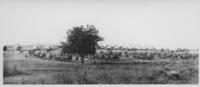 Fort Sill, 1899