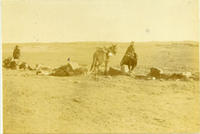 Navajo Indian, Chin Lee Valley, 1902