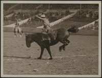 1924 London Rodeo, Wembley