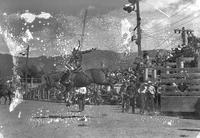 [Unidentified cowboy on saddle bronc as others look on from chute gate]