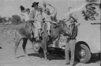 [Monte Reger and His Family Atop Bobby the Steer]