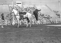 [Unidentified trick roper jumping into loop near horse as female assistant looks on]