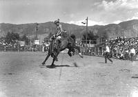 [Unidentified cowboy on saddle bronc with mountains in background]