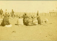 [Indian women sitting on ground in circle watching the butchering]