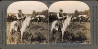 13641--Cowboy, Broncho Corral and Camps, Banks of the Yellowstone, Montana.