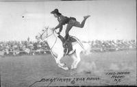 Bea Kirnan Trick Riding Fred Beebe Rodeo N.Y.