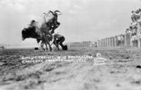 "Lots of Thrills" Wild Brahma Steer Cheyenne Frontier Days, 1932