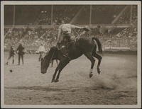 Frank Studwick,1924 London Rodeo, Wembley