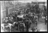 101 Ranch unloading cars early A.M. at Camden, ME.  1908?