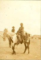 [Indian woman on horse, perhaps packing a hide full of meat]