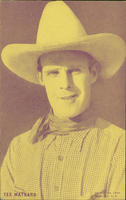 Tex Maynard