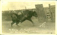 Riding Buffalos, 1925 Round Up, Pendleton, Ore.