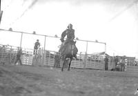 [Unidentified Cowgirl on saddle bronc with 5-chute structure behind]