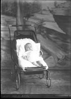 [Single portrait of an Infant]