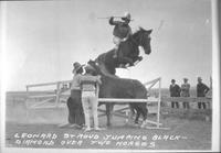 Leonard Stroud jumping Black Diamond over two horses