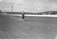 [Unidentified little girl doing hippodrome stand on galloping pony in arena]