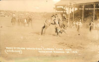 Buddy Sterling Would Ride "C. Cross" That Way, Pendleton Round-Up, 1919