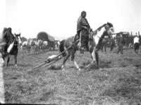 Indian Squaw & Travois, June 1910