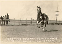 Leonard Stroud Going Under his Horse at Full Speed