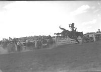 [Unidentified saddle bronc rider]