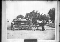 Photograph of a photograph of a Wagon load of produce with fruit. Stillwater, Payne, Co