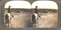 12475--Round-up on the Sherman Ranch, Geneseo, Kansas, U. S. A.