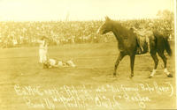 Ed McCarty Roping with His Famous Rope Horse Ranger, Round Up, Pendleton