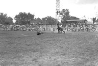 [Unidentified dismounted calf roper heading toward calf]