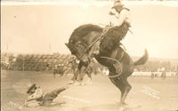 Henry Warren [Saddle bronc riding at the Pendleton Round Up, Pendleton, Oregon]