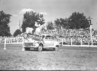 [Unidentified cowgirl jumping horse over automobile]