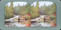 Fishing in the Pool at Black Trout Creek