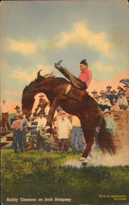 9A-H2600; Genuine Curteich-Chicago "C.T. Art-Colortone" postcard
