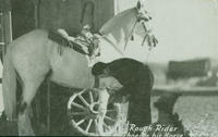 Rough Rider Shoeing his Horse