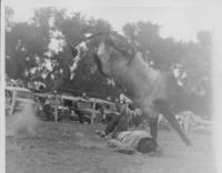 [Cowboy Eating Dirt from Bull ride]