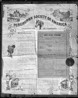 Horse Pedigree Certificate